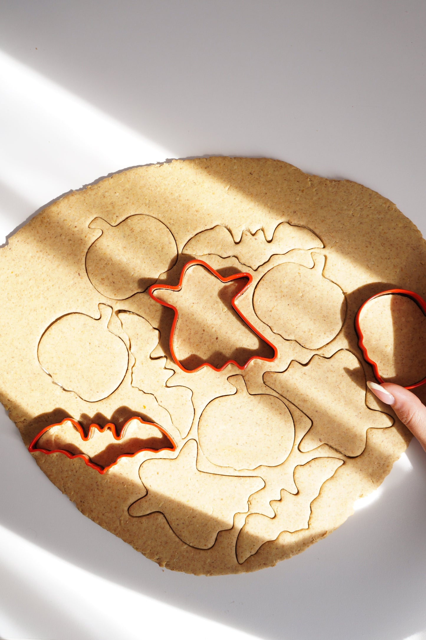 Collection Halloween - limitée