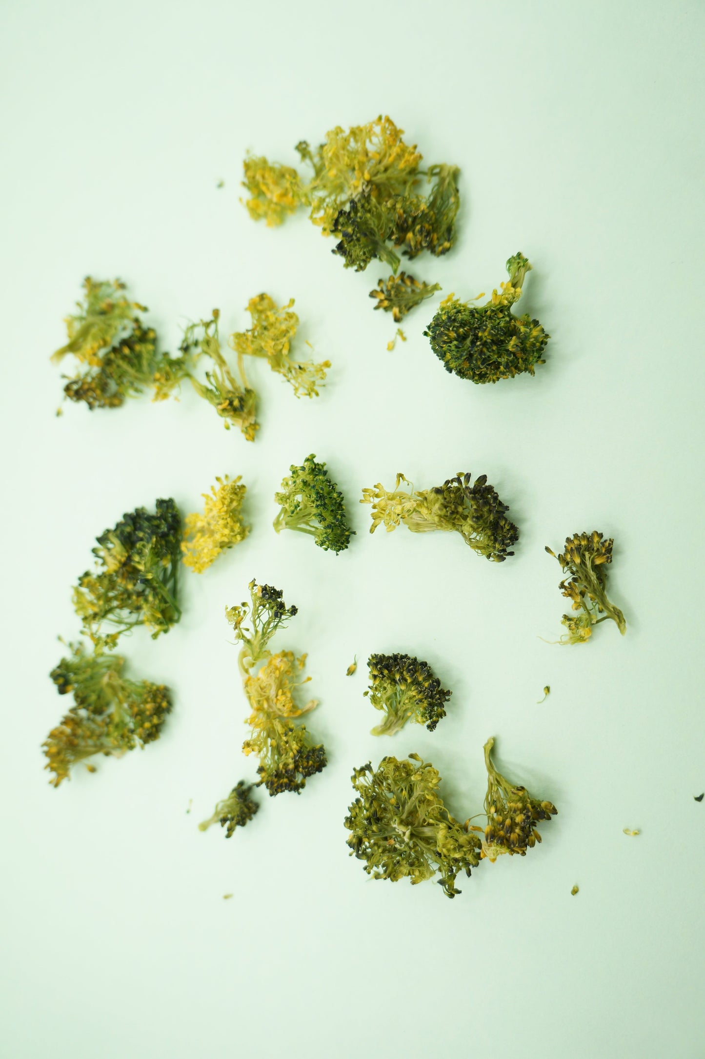 Brocolis déshydratés